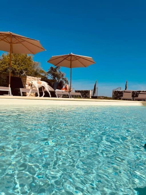 Dome Insolite Cedre Jacuzzi Et Petits Dejeuners Inclus Lagraulet-du-Gers 외부 사진