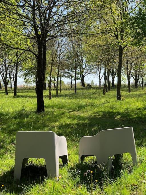 Dome Insolite Cedre Jacuzzi Et Petits Dejeuners Inclus Lagraulet-du-Gers 외부 사진
