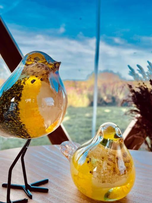 Dome Insolite Cedre Jacuzzi Et Petits Dejeuners Inclus Lagraulet-du-Gers 외부 사진