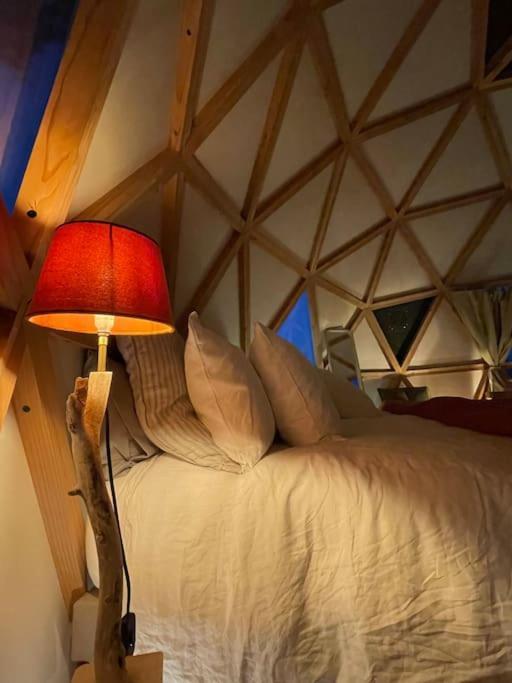 Dome Insolite Cedre Jacuzzi Et Petits Dejeuners Inclus Lagraulet-du-Gers 외부 사진
